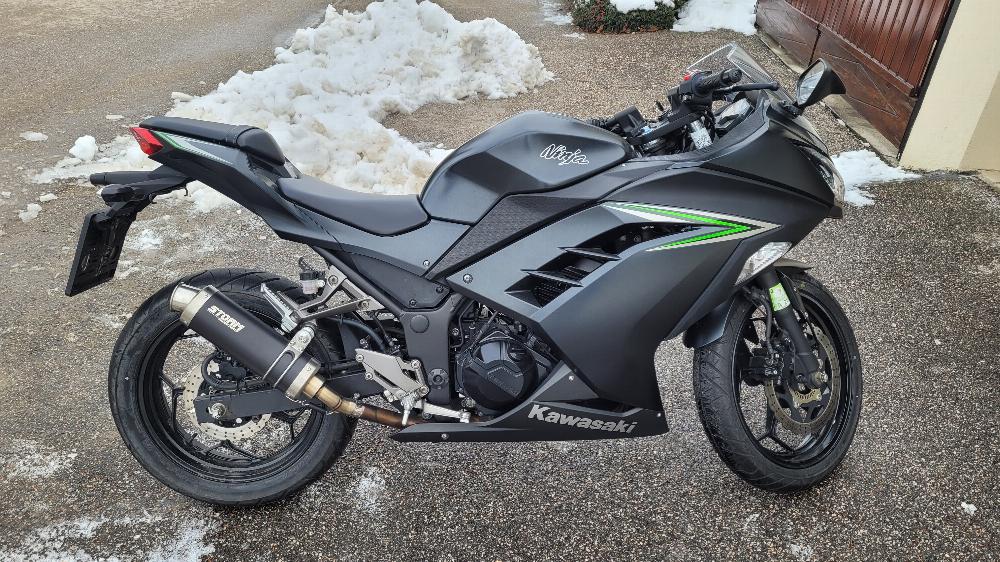 Motorrad verkaufen Kawasaki Ninja 300 Abs Ankauf